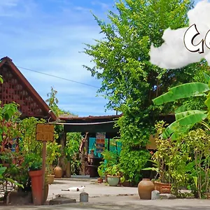 Gecko Guest house